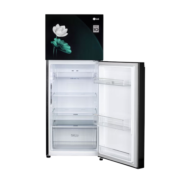 Buy LG 246 L 3 Star GL-S262SELX Frost-Free Double Door Refrigerator - Vasanth & Co