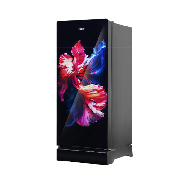 Buy Haier 190 L 3 Star HRD-2103PWG-P Direct Cool Single Door Refrigerator - Vasanth and Co