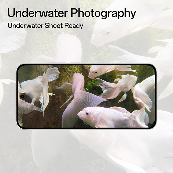 Buy Oppo Reno 14 5G 12GB 256GB Forest Green Mobile Phone – Vasanth & Co