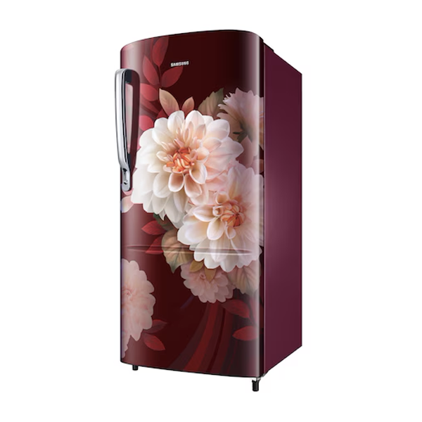 Buy Samsung 183 L RR20F2723BR/NL Single Door Refrigerator - Vasanth & Co