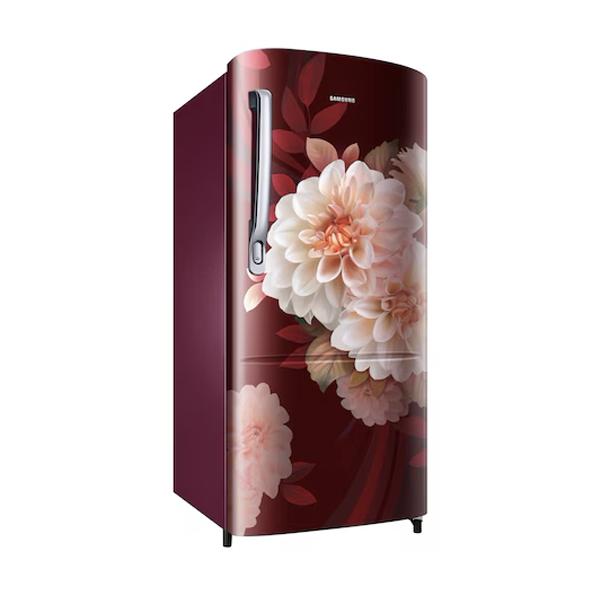 Buy Samsung 183 L RR20F2723BR/NL Single Door Refrigerator - Vasanth & Co