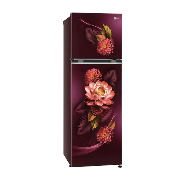 Buy LG 272L 2 Star GL-S312SRWY Double Door Refrigerator - Vasanth and Co