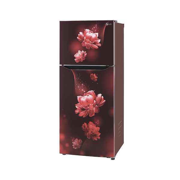 Buy LG 242L 2 Star GL-N292BSCY Double Door Refrigerator - Vasanth and Co