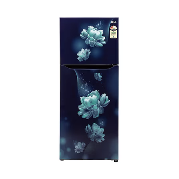 Buy LG 242L 2 Star GL-N292BBCY Double Door Refrigerator - Vasanth and Co