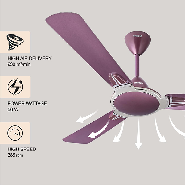Buy Usha 1200 mm 1 Star Striker Platinum Pearl White & Lavender Chrome Ceiling Fan – Vasanth and Co