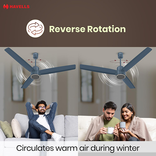 Buy Havells 1200 MM EPIC BLDC PRO Denim Blue Ceiling Fan – Vasanth and Co