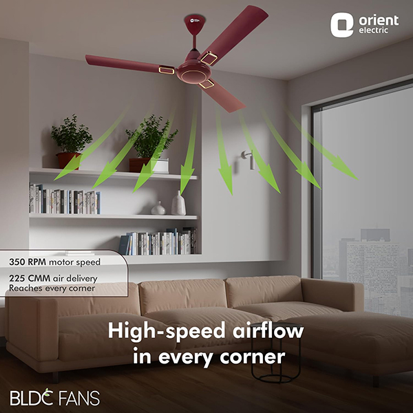 Buy Orient 48 Inch 5 Star I-Falcon Deco BLDC Brown Ceiling Fan – Vasanth and Co