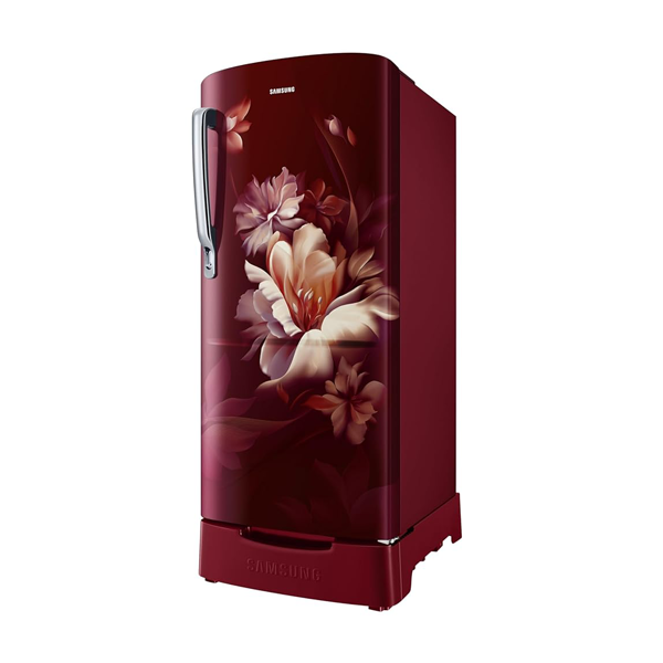 Buy Samsung 183 L 3 Star RR20H2823RZ/NL Direct Cool Single Door Refrigerator - Vasanth and co