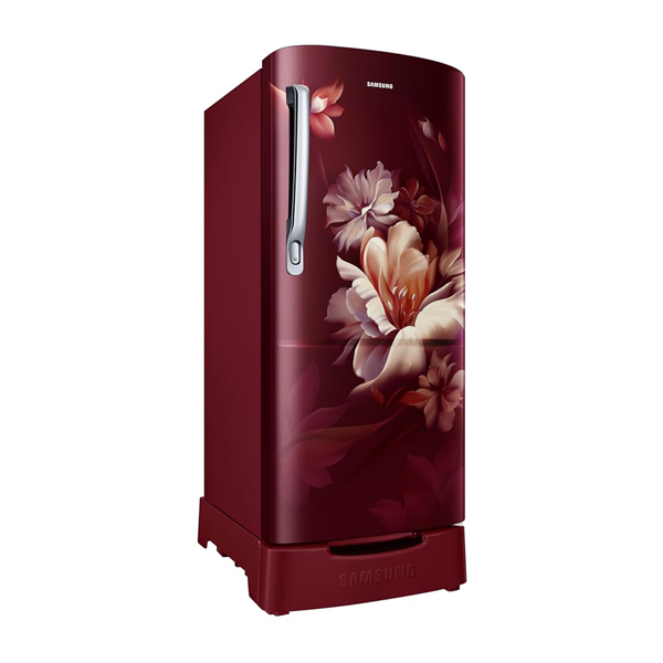 Buy Samsung 183 L 3 Star RR20H2823RZ/NL Direct Cool Single Door Refrigerator - Vasanth and co