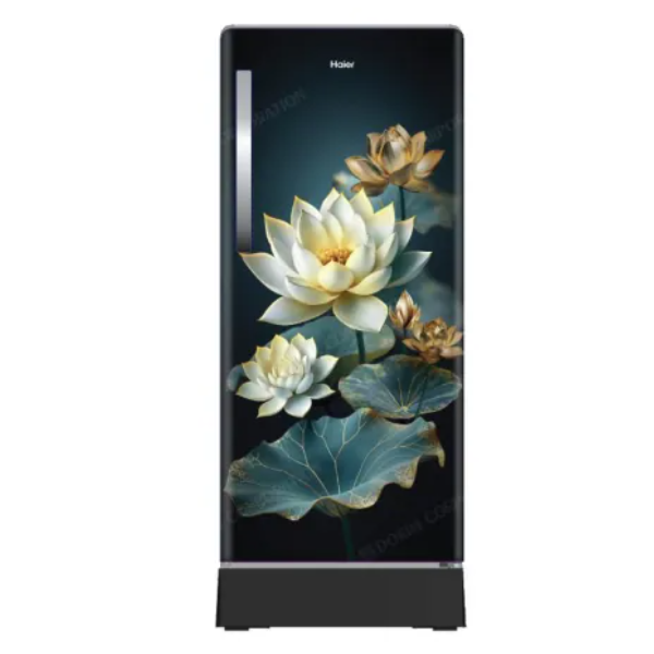 Buy Haier 190L 3 Star HRD-2113PGCA-N Green Camellia Direct Cool Single Door Refrigerator - Vasanth & Co