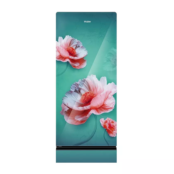 Buy Haier 190L 5 Star HRD-2115PFGGA-N Single Door Refrigerator - Vasanth & Co
