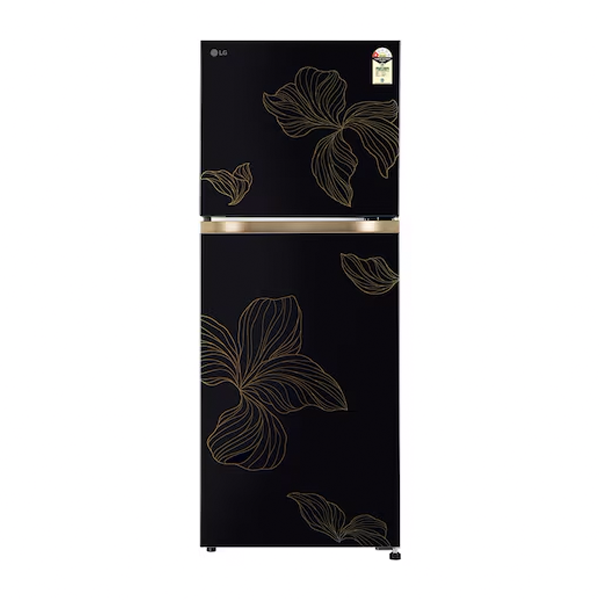 Buy LG 225L 1 Star GLT2216WYRO Radiant Onyx Double Door Refrigerator - Vasanth & Co