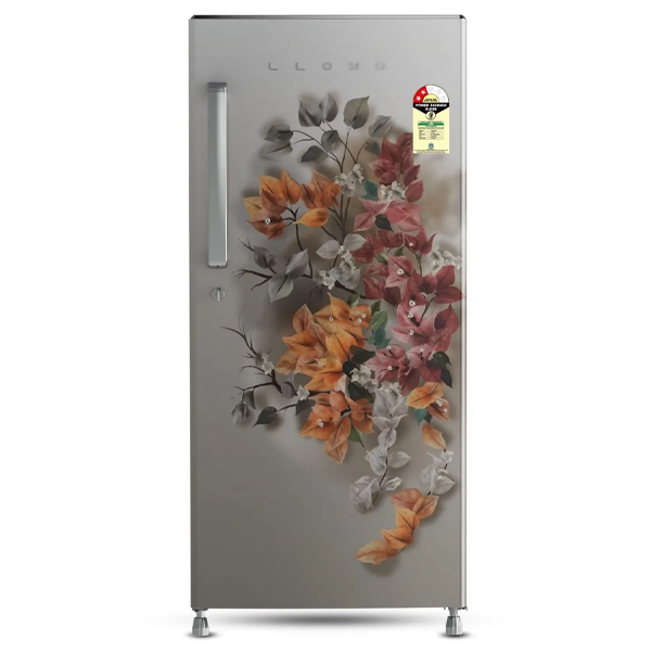 Buy Lloyd 175L 2 Star Direct Cool GLDG192ABSCF Single Door Refrigerator - Vasanth & Co